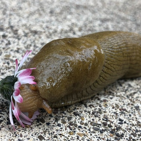 Meet your Posher, Claire - Picture 7 of 7